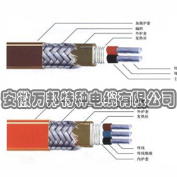 溫控電纜◆全自動自控溫